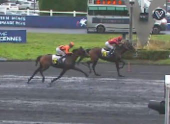 Not This Time takes Gr III Prix Leopold Verroken 1 Lovissime