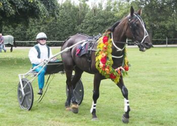 Rich vein of form continues for Moses