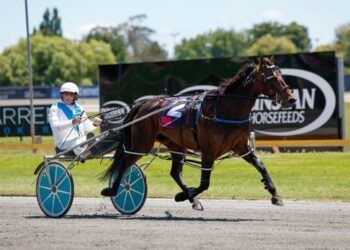 Inter Dominion winning trainer returns to the sulky