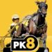 Meadowlands details PK8 carryover rules 2 Meadowlands details PK8 carryover rules