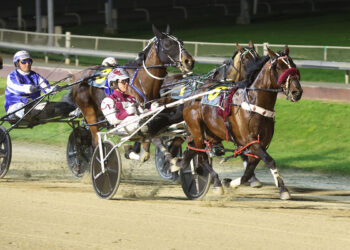Saturday harness racing