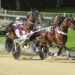 Perfect draw for Republican Party in Hunter Cup 1 Saturday harness racing