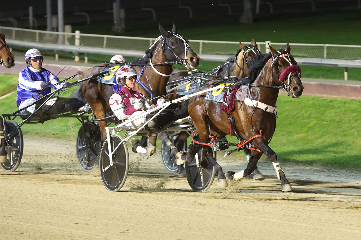 Saturday harness racing