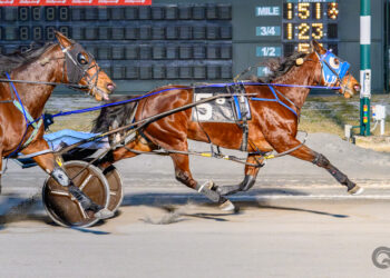 Square Deal wins down the road at Bally's Dover on Wednesday night