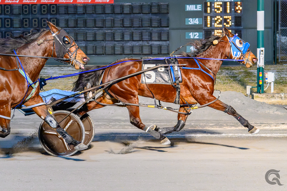 Morgan sends Square Deal all the way 1 Square Deal wins down the road at Bally's Dover on Wednesday night