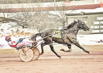 Stay Focused repels challengers for impressive Monday victory