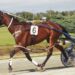 Wag Star gets chance to return to winning form 2 Wag Star gets chance to return to winning form