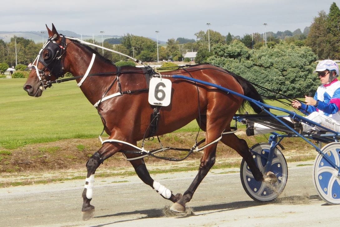 Wag Star gets chance to return to winning form 1 Wag Star