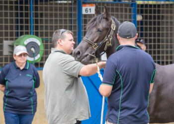 Opportunity knocks – APG Melbourne to deliver again in 2026