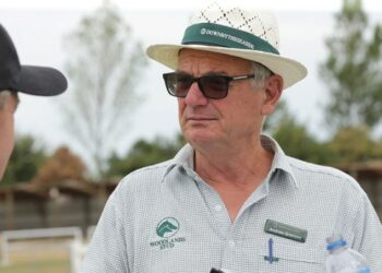 Woodlands has a big presence at NZB Standardbred National Yearling sales