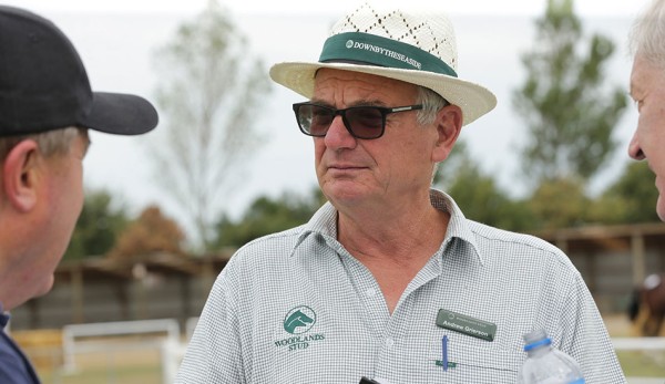 Woodlands has a big presence at NZB Standardbred National Yearling sales 1