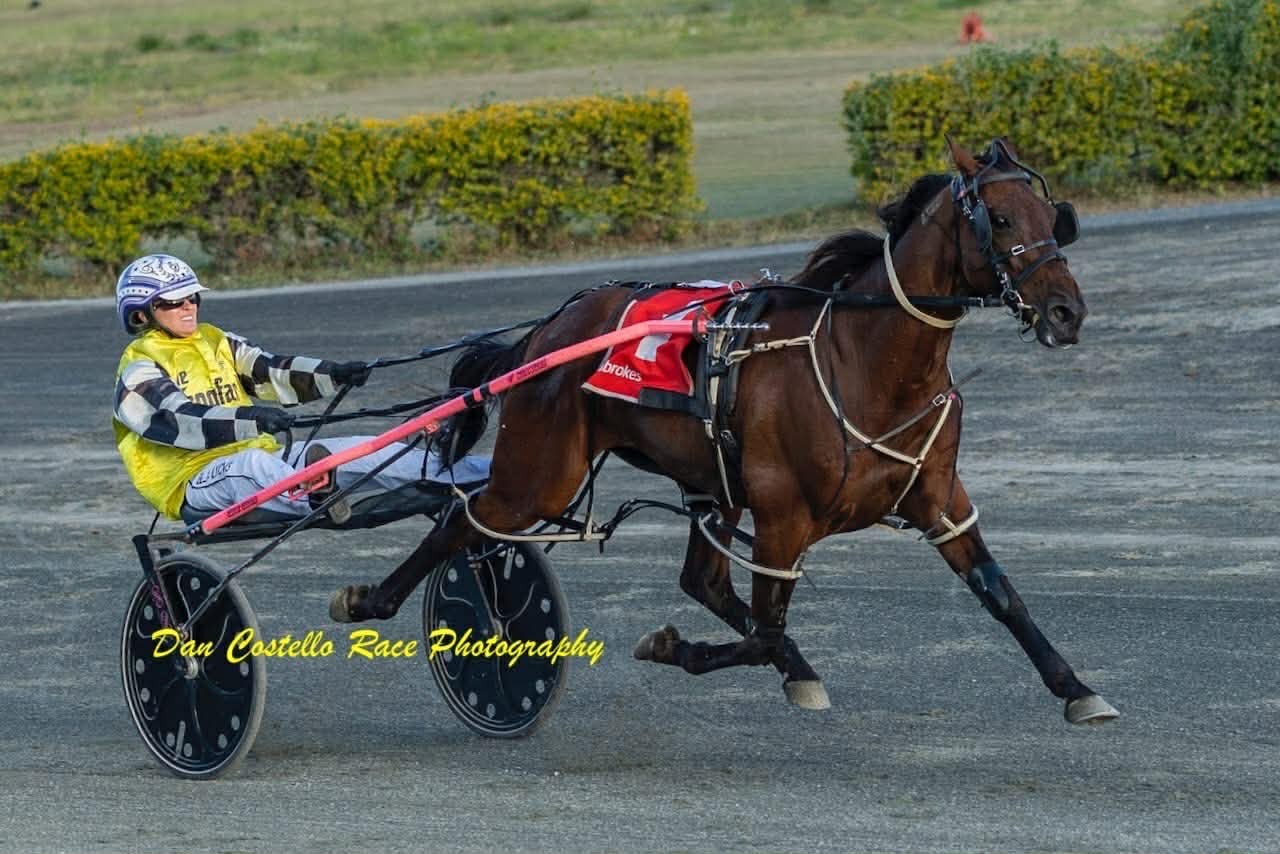 From the salon to the sulky: Lyons makes perfect debut 2