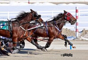 Joelsyy Hanover (5) got his nose in front to win Sunday’s Open Handicap