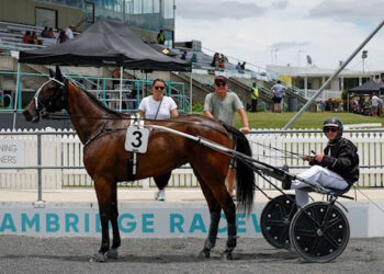 Bidding ends tonight from 7pm for 8 lot Auction